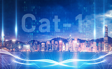 工信部重磅发文，Cat-1/NB-IoT再次站上新风口